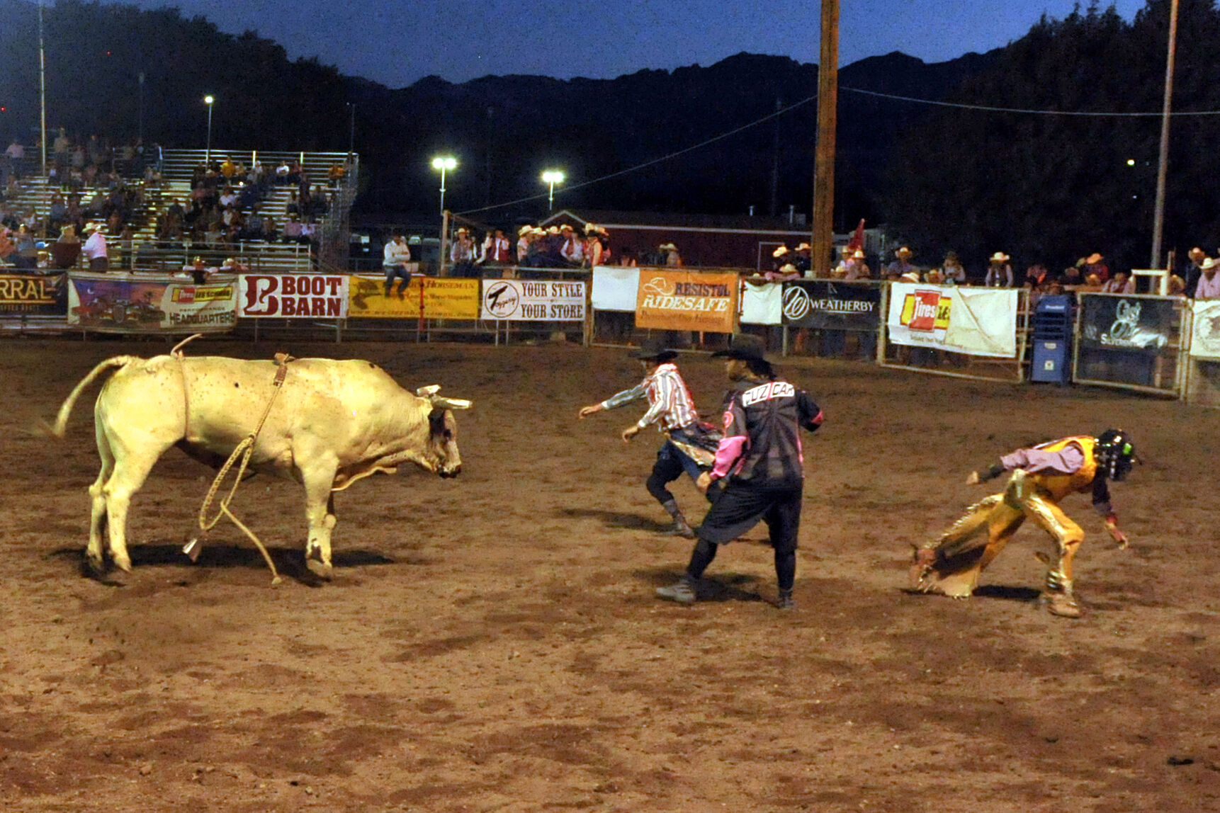 Rodeo bull riding.jpg